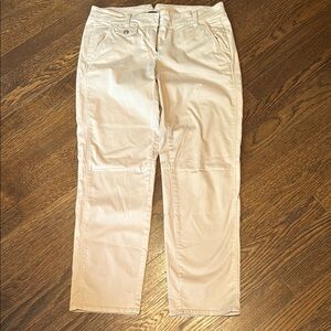 Ann Taylor Pants
